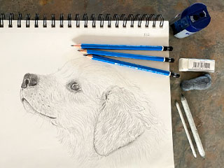 a drawing of a dog along with drawing pencils and erasers