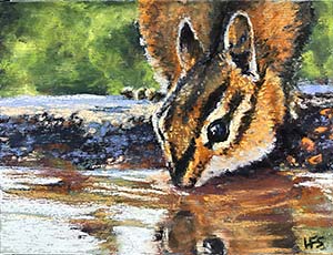 pastel painting of chipmunk sipping water