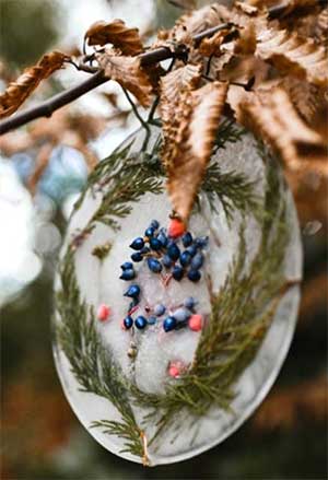an ice suncatcher made from berries, greens and frozen water