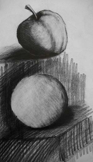 a charcol drawing of two apples