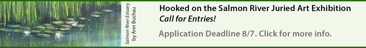 web banner asking for a call for entries for the Salmon River Juried Art Exhibition 2026