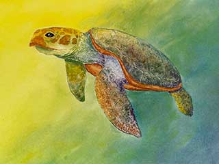watercolor paintingof a sea turtle under water