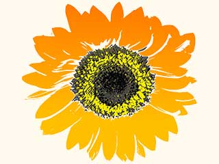 an image of a watercolor of a sunflower painted in orange and gold colors