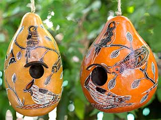 a photo of two gourdes made into bird houses and with birds painted on them