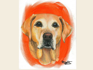 a painting of a lab done in acrylic paints as an example for the dog painting class