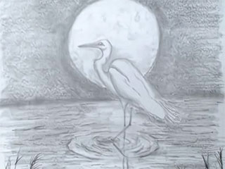 a drawing of an egret standing in water in moonlight
