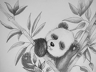 a drawing of a baby panda sleeping in a bamboo branches