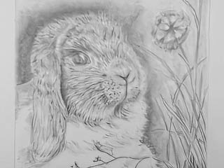 a drawing of a rabbit in grass and flowers