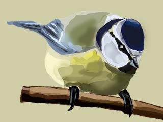 a watercolor painting of a gold finch