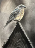 artwork created by our juror, Claire Ames