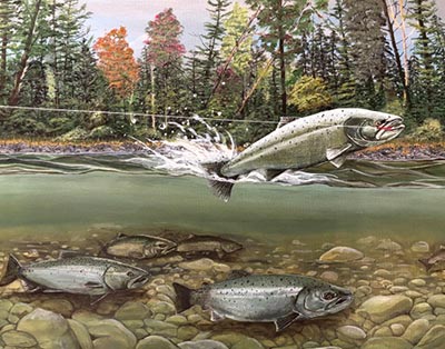 painting of a king salmon fighting on the end of a fishing line