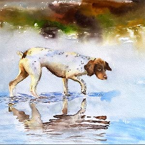 watercolor painting of a bird dog in water