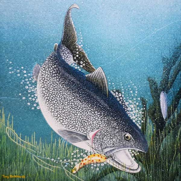 painting of a salmon underwater caught on a hook