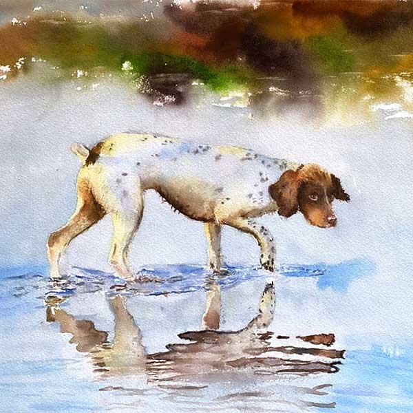 watercolor of a dog walking in water