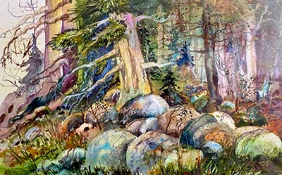 watercolor of trees and rocks in forest